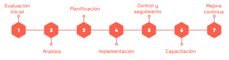proceso-consultoria